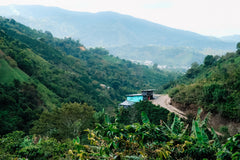 Martha Reina AA, Colombia